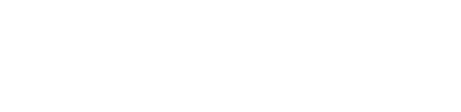 wise-logo
